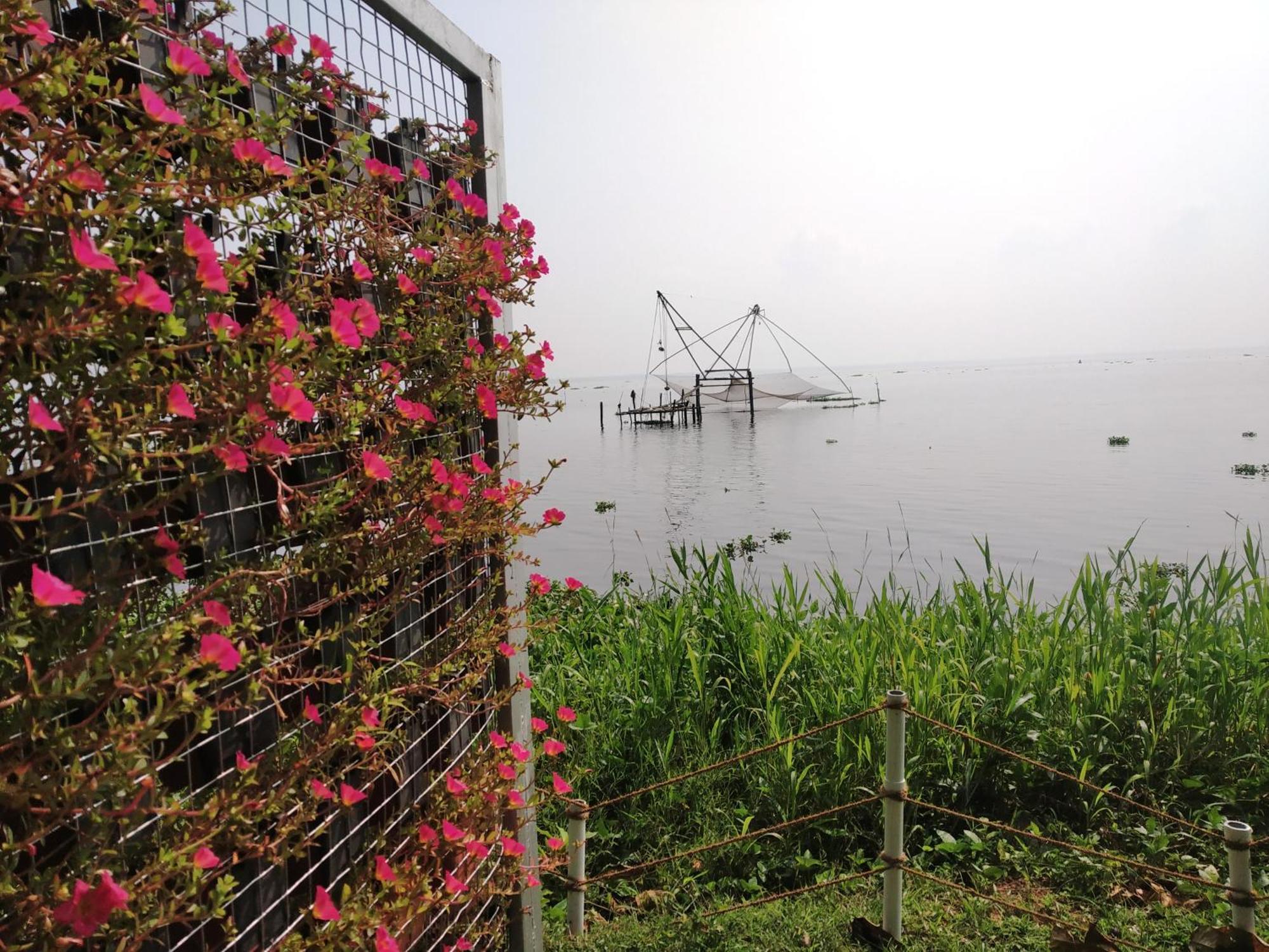Deshadan Backwater Resort - The Best Sunrise View Alappuzha Kültér fotó